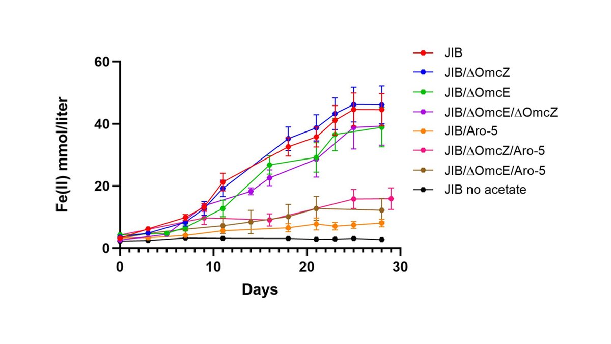 Lack of physiological evidence for cytochrome filaments functioning as conduits for extracellular electron transfer
journals.asm.org/doi/10.1128/mb…
Functional genetic studies demonstrate requirement for e-pili, but not cytochrome nanowires for #Geobacter long-range EET.
Highlights:
•