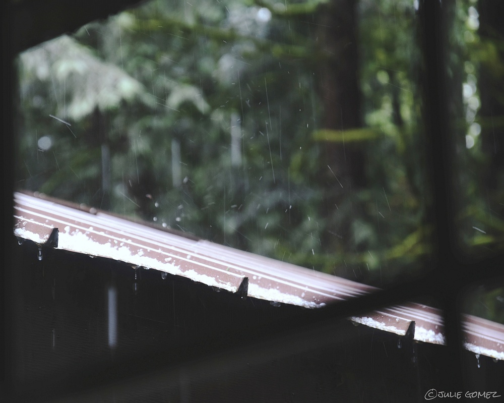 Julie Gomez tweet media