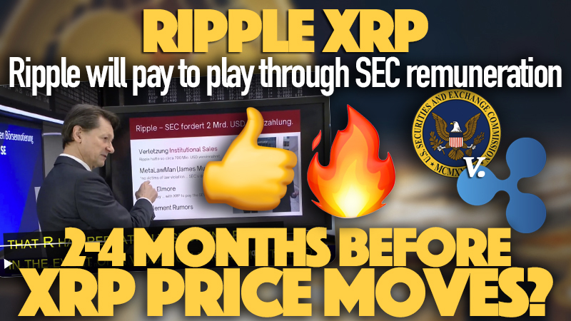 According to Frankfurt Exchange specialist Oliver Michel, we may only be waiting another 2-4 months before $XRP price discovery through @Ripple's unofficial 'pay to play' agreement with the @SECGov 👀 #XRPcommunity #Ripple #XRPholders #XRP 📺 👉 youtu.be/YuZQ8d-DCic