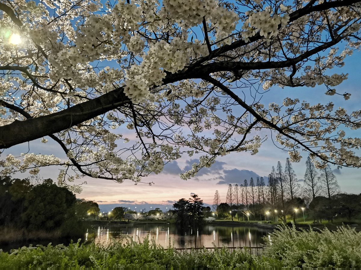 circlelabo_EN's tweet photo. To our friends in Taiwan,

Our hearts are with you after yesterday's earthquake.. Just a gentle reminder, earthquakes can happen unexpectedly. It's important for all of us, including us here in Japan, to stay prepared for such situations. Please take care and stay safe. https://t.co/h7xiUpRNIv