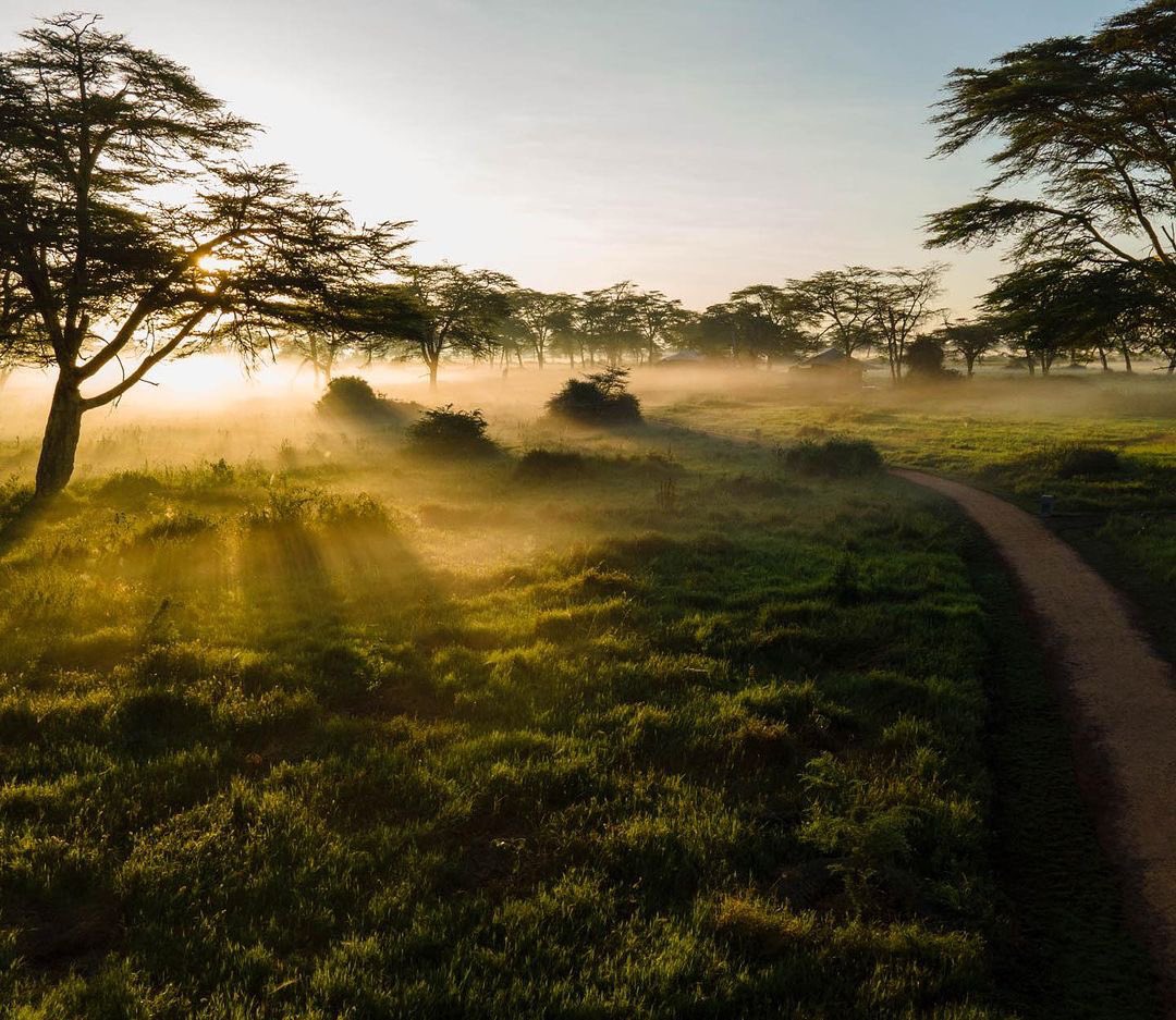 dmAFRICA's tweet photo. “The not-so-gentle giants in the Mara shake things up and we meet Pascal — one of the legendary Super Tuskers of Amboseli.”
@angamasafari
#everythingextraordinary #dmafrica
📷: @wildwithsam & @johsehphotography #Angama #Amboseli #MaasaiMara #Safari #NaturePhotography #Wildlife https://t.co/IcbapTxryK