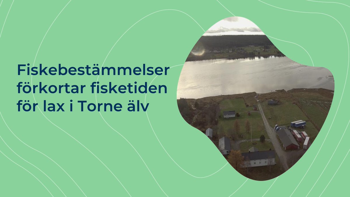 Fiskebestämmelserna för Torne älv är striktare än förra året. Jord- och skogsbruksministeriet och den svenska havs- och vattenmyndigheten har kommit överens om fiskebestämmelserna för årets fiskesäsong vid Torne älv. De träder i kraft den 1 juni 2024. mmm.fi/sv/-/fiskebest…