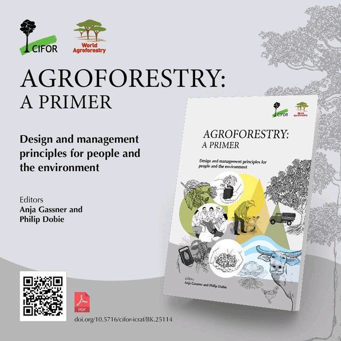 To realize the potential of agroforestry, practitioners need to understand its principles.

Agroforestry: A primer - is a guide to #agroforestry principles & concepts – and how to use them effectively.

Get a copy: bit.ly/3BJ3oZn

#Trees4Resillience
