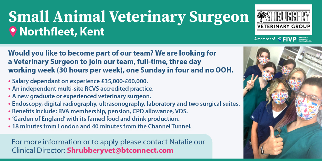 Join a fantastic team at an independent multi-site RCVS accredited practice that’s only 18 minutes from London.   

This full-time position involves a three day working week, one Sunday in four and no OOH.

See the job description: vetcommunity.com/vc/job/?id=252… 

#vetjobs #vetcareers