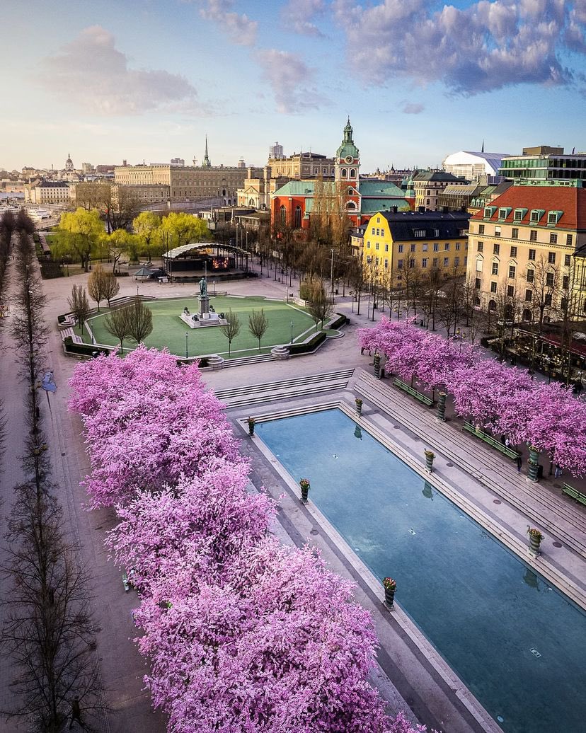 What is the cleanest city you have ever been to?