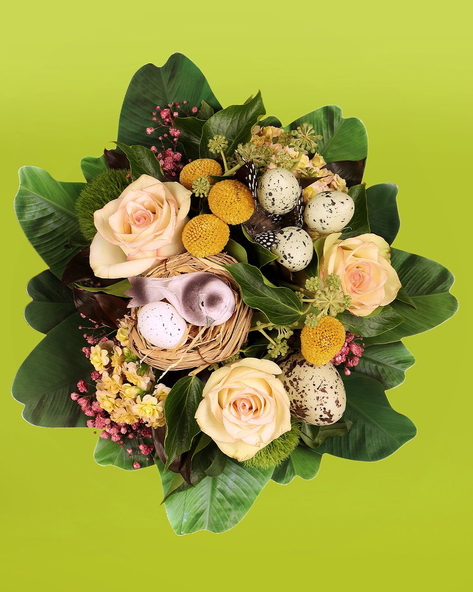 BOUQUET HOLDER | Een boekethouder is op zichzelf al uniek om een boeket in te verpakken. Boekethouder Aspidistra maakt het boeket nóg specialer. 💐🌴

Bestel nu: broekhof.nl/nl_NL/p/boeket…