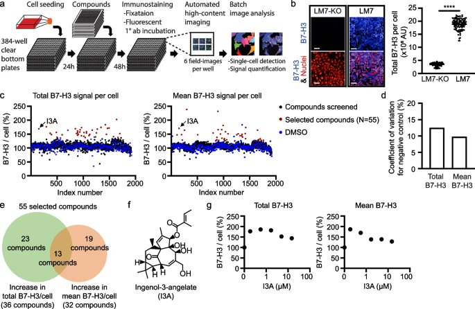 New study!🏹 A high-content screen of FDA approved drugs to enhance #CART cell function: ingenol-3-angelate improves B7-H3-CAR T cell activity by upregulating B7-H3 on the target cell surface via PKCα activation For free⤵️ jeccr.biomedcentral.com/articles/10.11… #Tcell #Osteosarcoma