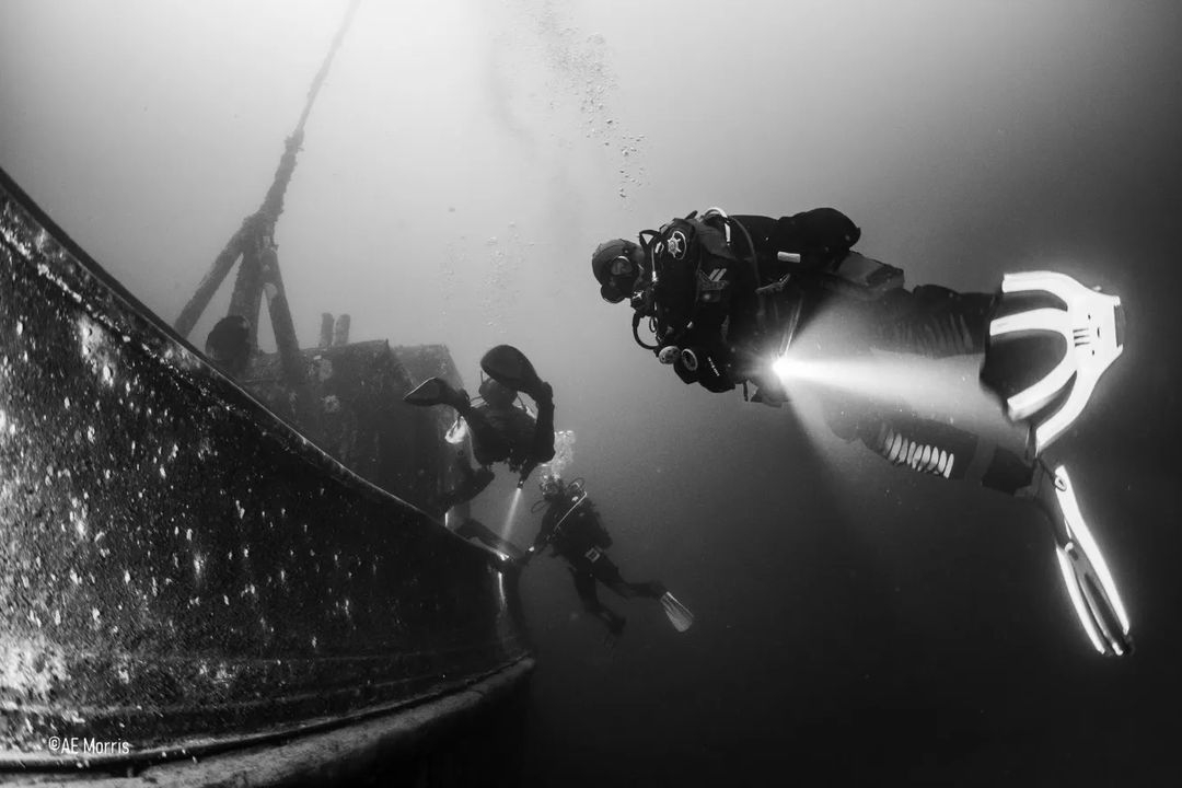 🌊 Dive into the depths with Northern Diver! Explore the mesmerizing underwater world captured in this stunning black and white photo by @morrison_turnip 📸✨Illuminate your dives with our top-quality lights! ndiver.com/diving-equipme… #northerndiver #scubadiving #scuba #diver