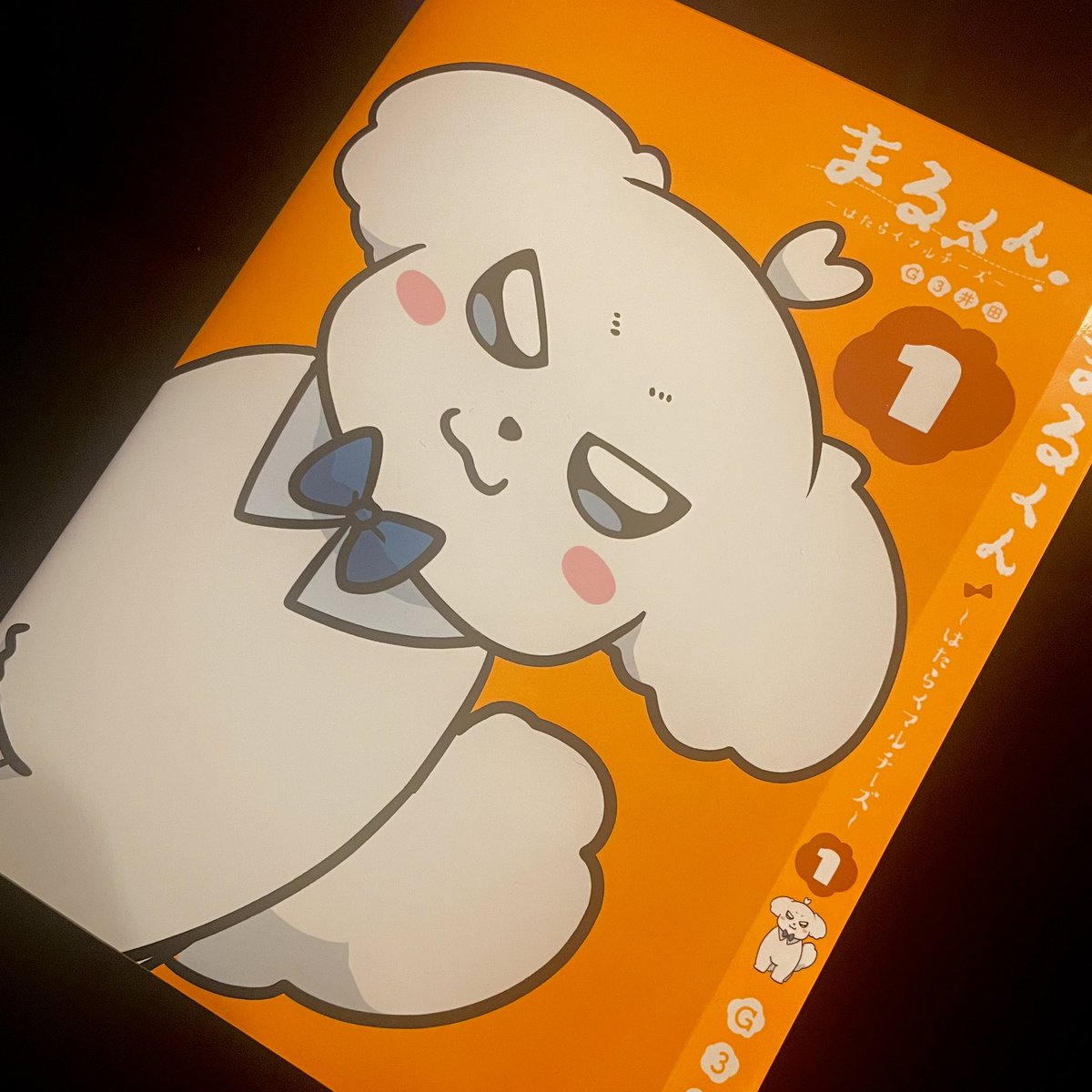 今週は単行本作業のため、まるくんお休みをいただいてます😴 1巻4月18