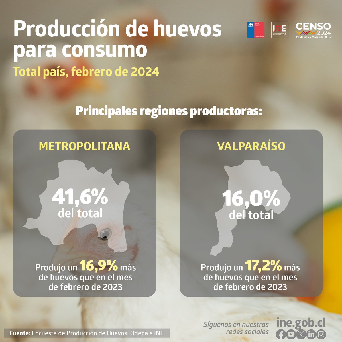 La producción de huevos de consumo presentó un crecimiento interanual de 9,1% en febrero de 2024. El número de gallinas en postura, en tanto, aumentó 3,0% respecto a igual mes del año anterior: tinyurl.com/yxs9pywp