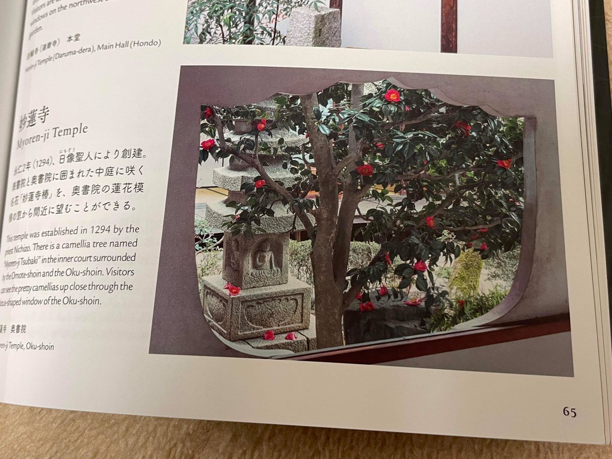 【非売品】奥湯河原温泉「海石榴・迎賓館」写真集【水野克比古 署名入】1989年 非売品】奥湯河原温泉「海石榴・迎賓館」写真集【水野克比古