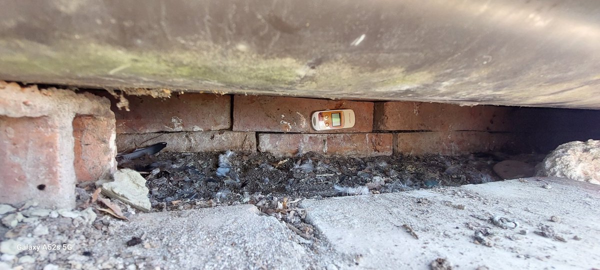 @lifefalkon tweet media