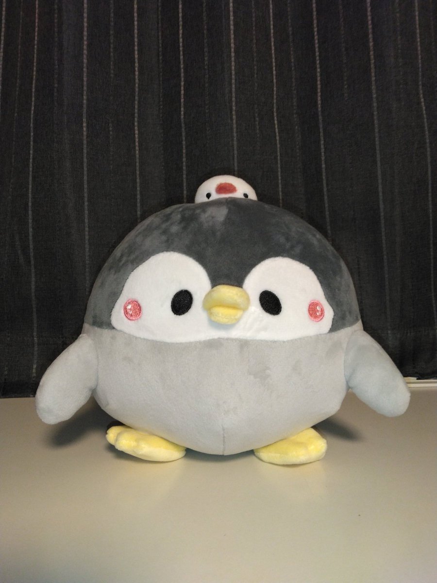 ペンギンの優しい世界