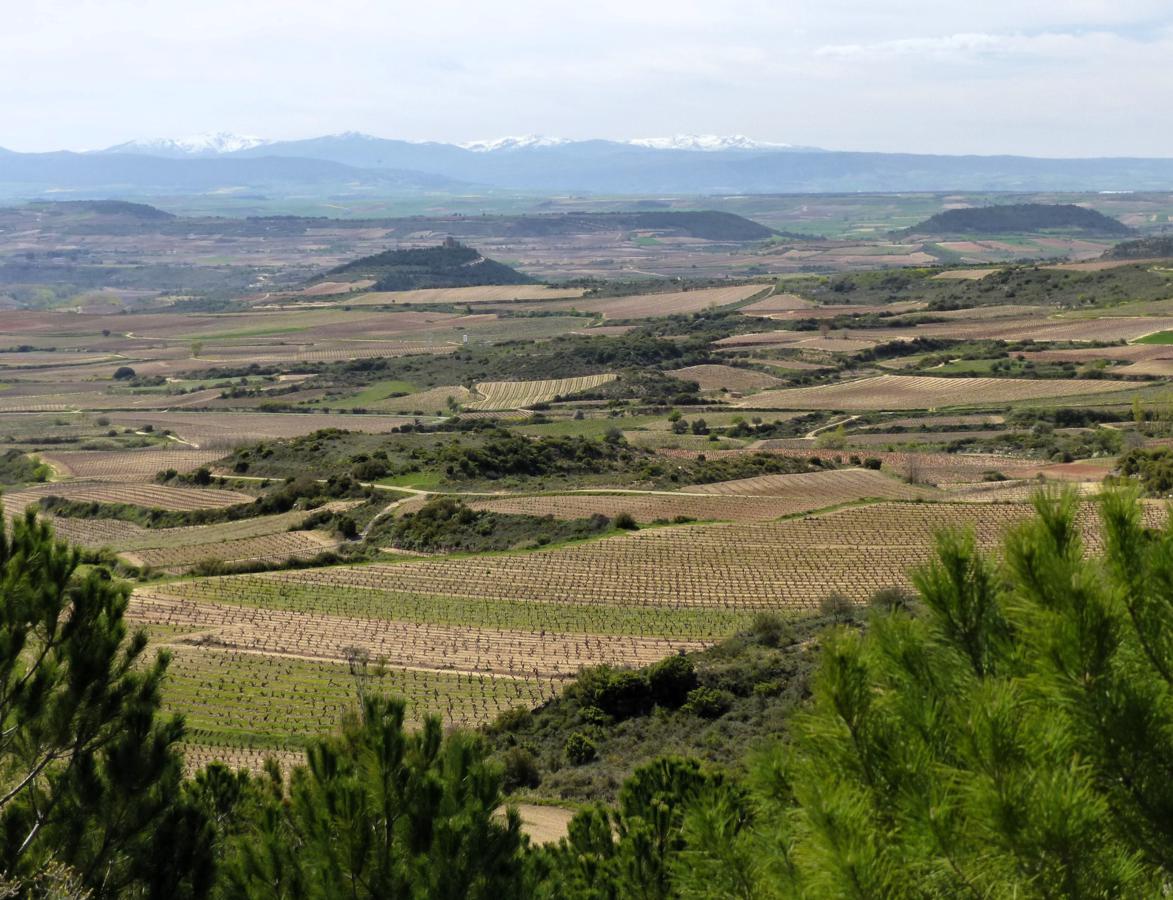 Shot looking south west from #Ábalos in La #Rioja. The snow's melting fast and our reservoirs are filling up. Great news, after a couple of dry years.