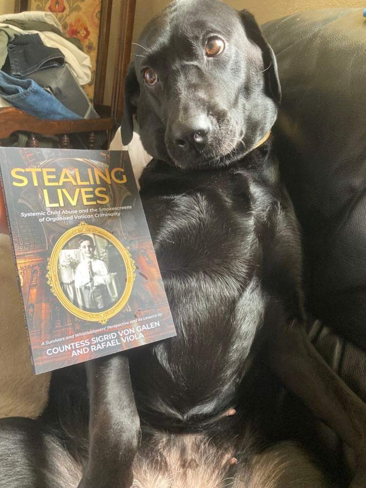 A Lab is a man’s best friend!

Daisy partaking in a spot of afternoon reading. My favourite supporter! 
#CatholicChurch #abusesurvivor #Survivor