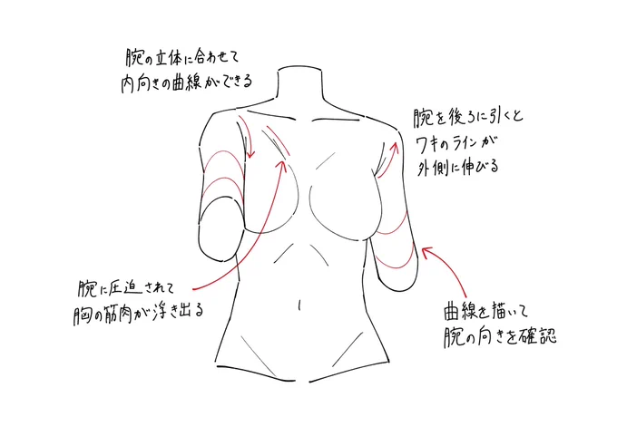 前後に開いた腕を描くときのポイントメモです。 