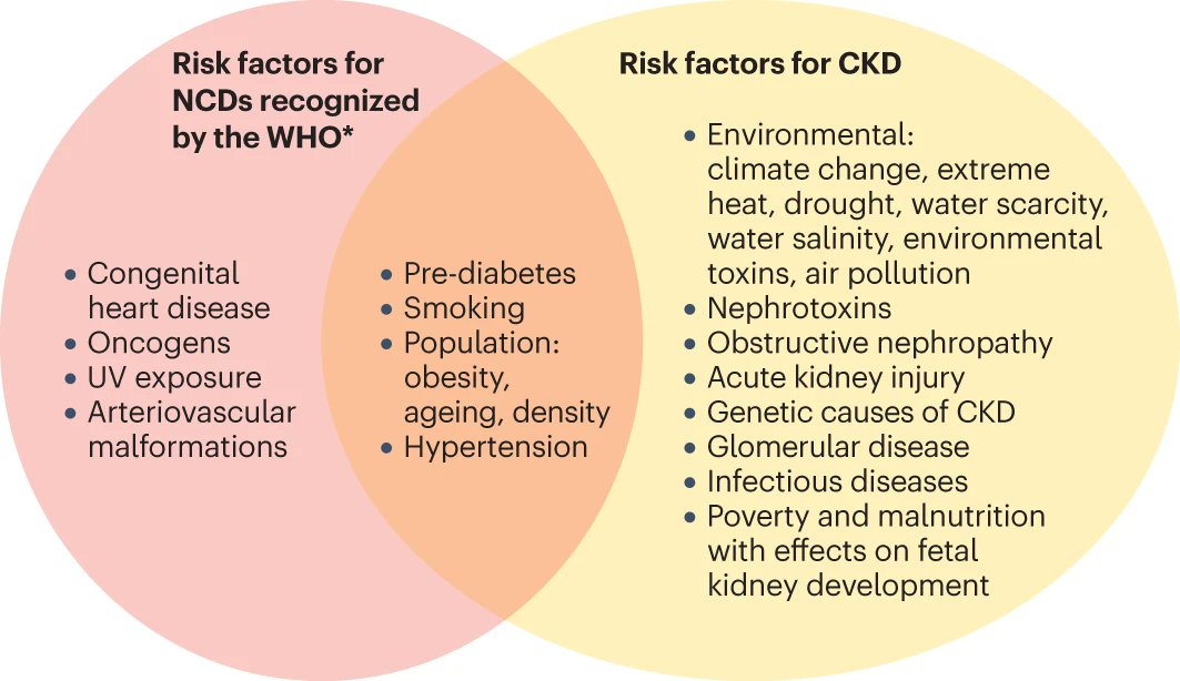 Int Society of Nephrology tweet media
