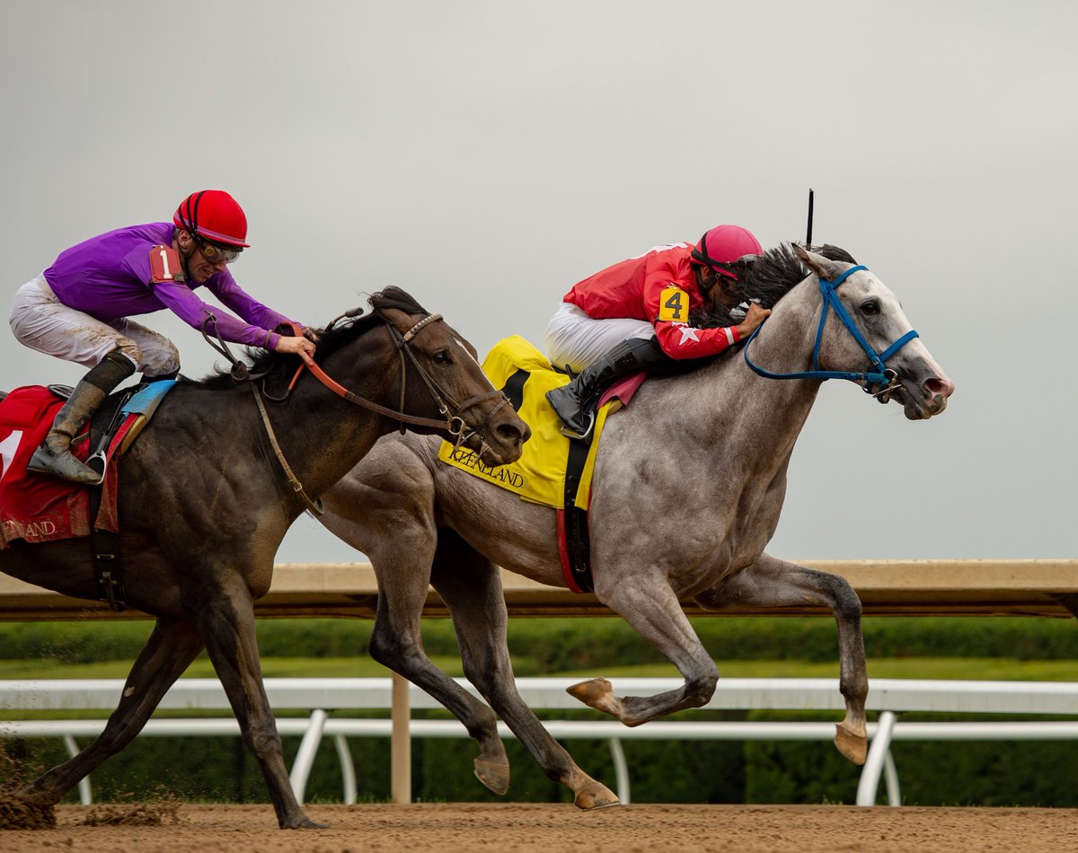 Indiana-bred GLENGARRY kicks off his 3 campaign in the Lafayette Stakes @keenelandracing for trainer Doug Anderson. The grey colt has already found success on the Keeneland oval when he was a half-length winner of the Bowman Mill Stakes last October. 📸 @roguewolf007