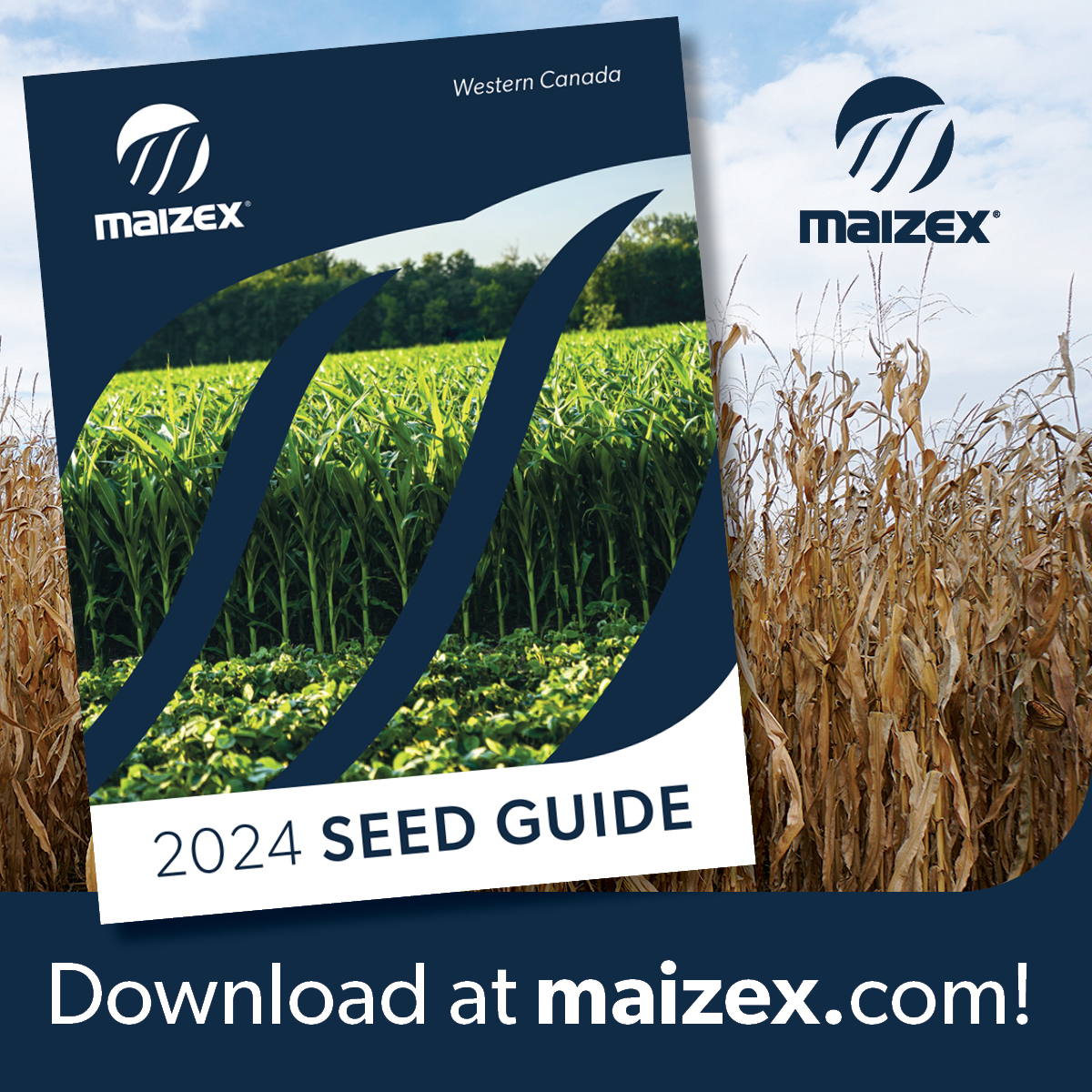 Need some last minute seed? Our 2024 seed guide is available to download here: bit.ly/MZwest24  Ask your #MaizexDealer which products are still available and best for you. #fieldbyfield #Plant24 #CanadianGrownCanadianOwned