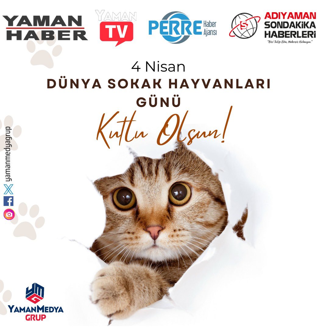 4 Nisan Dünya Sokak Hayvanları Günü Kutlu Olsun. 🐾Yalnız bir gün değil her gün aynı özeni gösterelim, can dostlarımıza sahip çıkalım. 🐈‍⬛
#Sokak #Hayvanları #Dünya