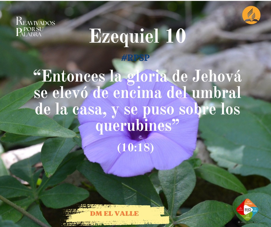 miltonvabar's tweet photo. No dejemos que la gloria de Jehová nos abandone...
#RPSP https://t.co/2YyVF16SZf