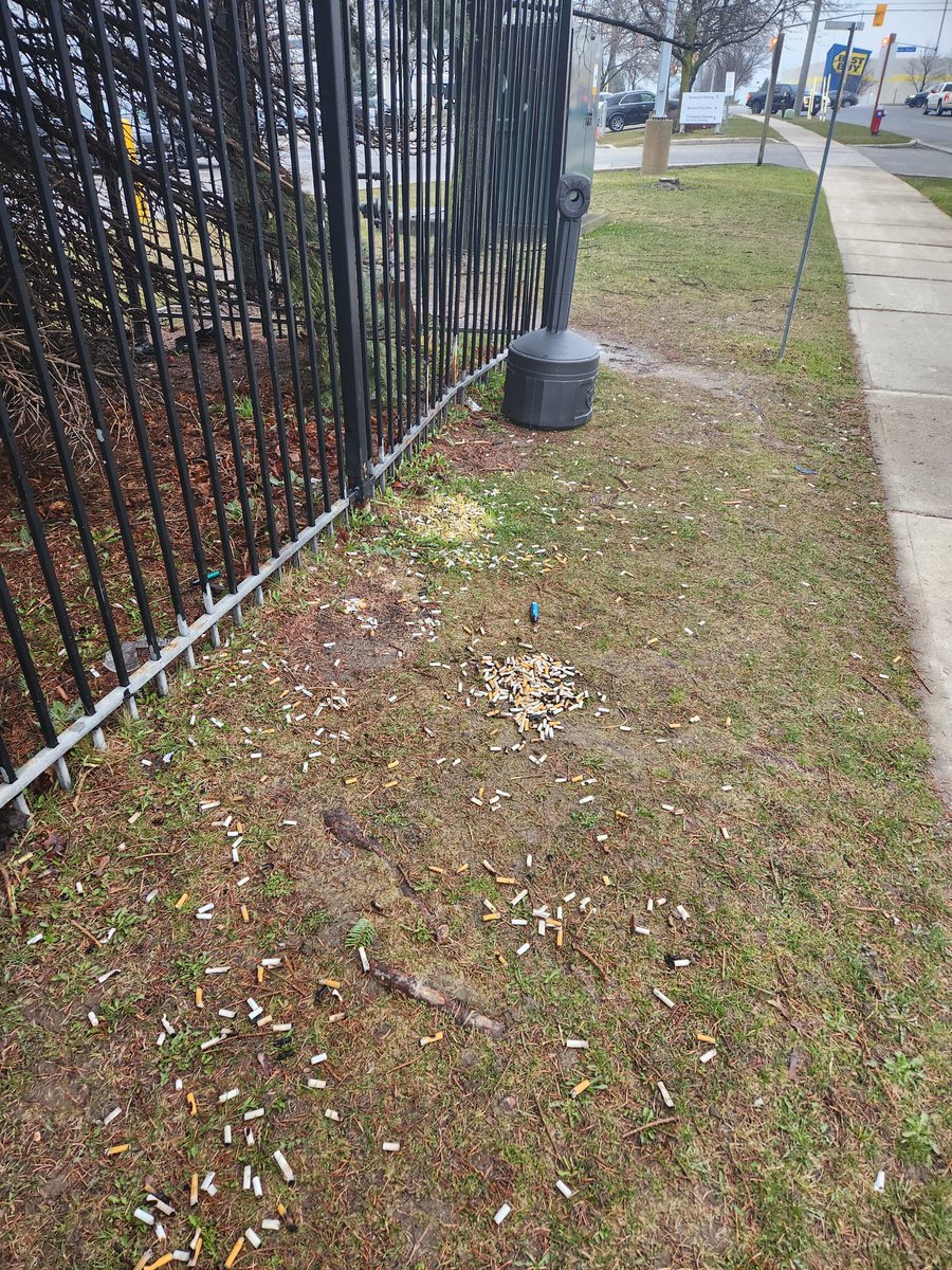 Albert_Koops's tweet image. Nice...

#mississauga
#Mercedesbenz 
#heartland