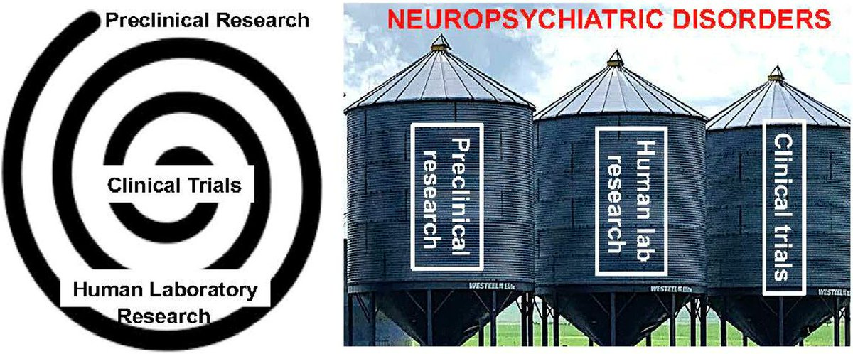 New paper! 'Will the promise of translational neuropsychopharmacology research ever deliver? The lion’s roar; the kitten’s purr' McGinty @WilliamStoops @EricJNestler et al. discuss gaps & strategies for translating basic & clinical results into treatments nature.com/articles/s4427…