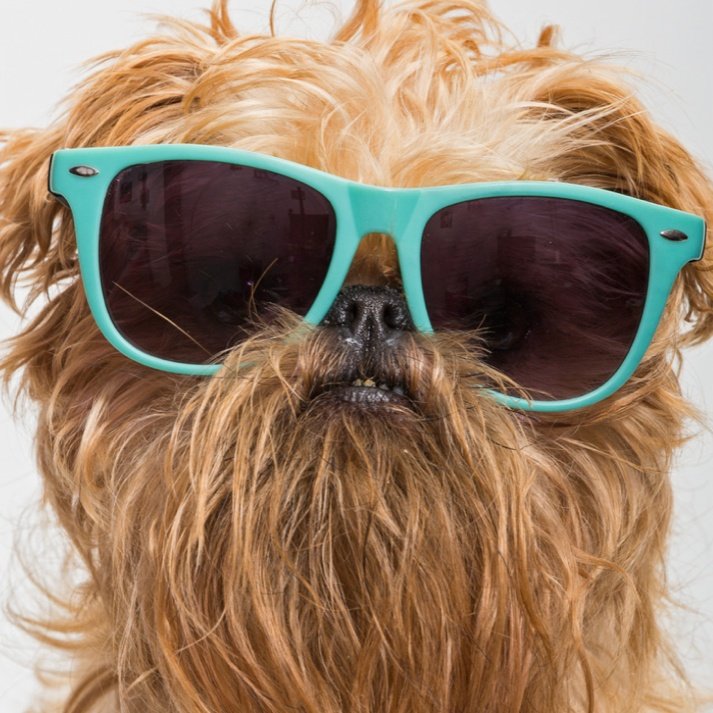 #perrihijos ¿un nuevo concepto de familia? 
🎙️Hoy en #CarpeDiemPodcast abrimos melón 🐶🐕
📢A las 21h en <a href="/EspluguesFM/">EspluguesFM</a> 99.7 FM 📻
🎙️Con <a href="/xsavinv/">Javier Savin Vallvé</a> <a href="/barnalola/">Lola Carrasco</a> 
#psicología #mascotas #SaludMental #soledad