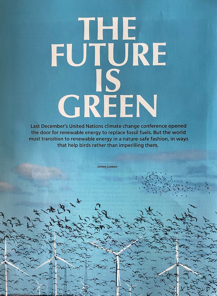 Another great issue of the @BirdLife_News magazine, edited by @birdingetc. I've written a feature on renewable energy: the importance of (a) replacing fossil fuels with renewables & (b) choosing nature-safe locations for renewable energy infrastructure. The future is green.