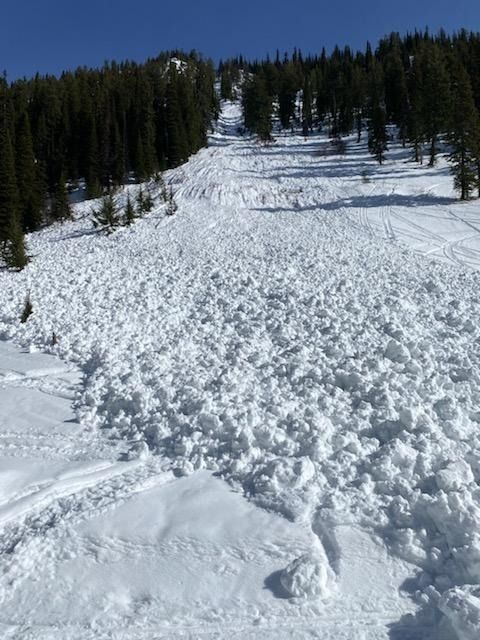 Wet snow avalanches will continue to be an problem today if you are traveling in mid and upper elevations. They can entrain significant amounts of snow and travel longer distances than expected.