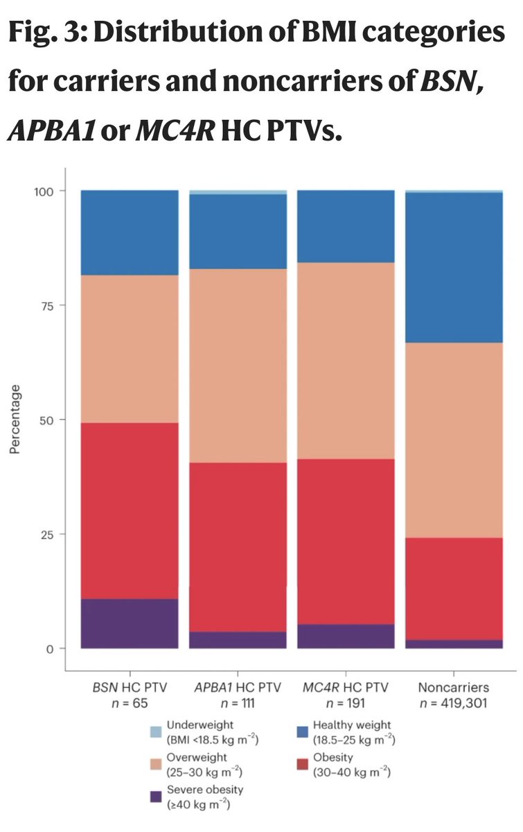 Important obesity paper @NatureGenet Rare LoF variants in APBA1 & BSN have larger effects on adult obesity than known genes (like MC4R). Also ⬆️ risk T2D & liver dz. Interesting that only very weak assoc w/plasma leptin/possible new pathway ➡️ obesity. bit.ly/4aIrGBs