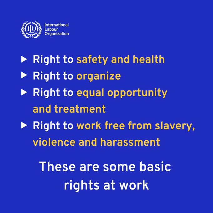 Did you know about these basic rights at work?⬇️ #Decentwork for all workers!
