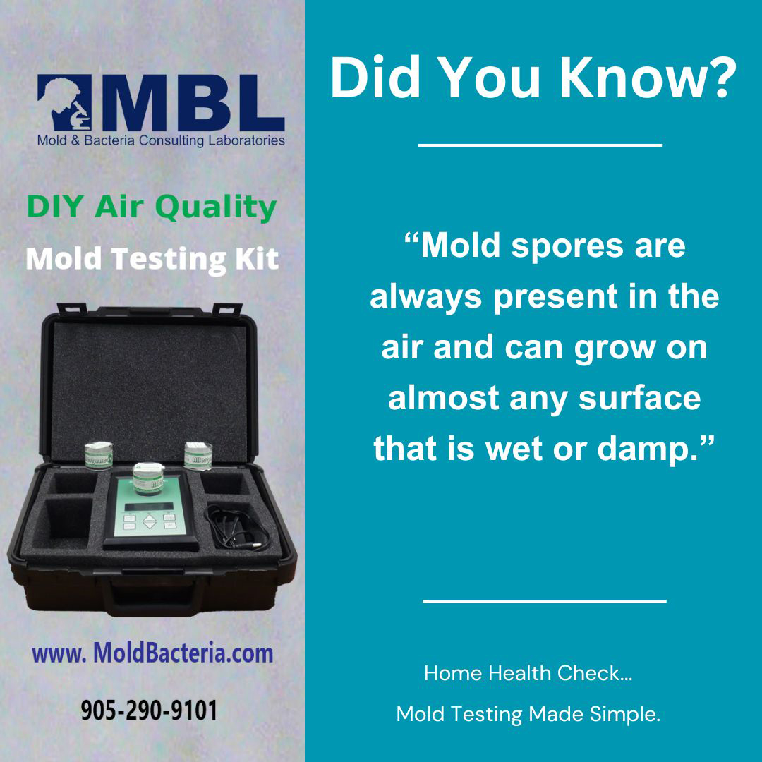 Home Health Check...