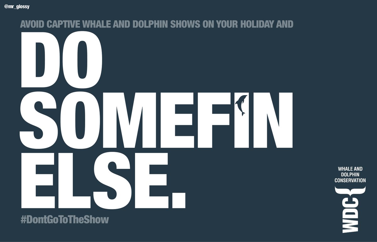 DO SOMEFIN ELSE. Create posters for UK airport departure lounges that convince UK holidaymakers not to visit captive whale and dolphin attractions while they are abroad. #DontGoToTheShow @whalesorg #EndCaptivityForever @OneMinuteBriefs