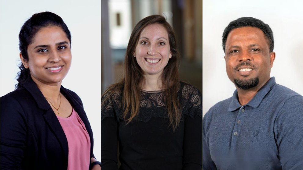 🎉 Congratulations to the 2024 recipients of @JAXcancercenter's Brooks Scholar Award: Drs. Abate Bashaw, Maeva Devoucox and Rama Ramasamy! This fellowship for postdoctoral associates at @jacksonlab supports research at the intersection of #aging and #cancer.