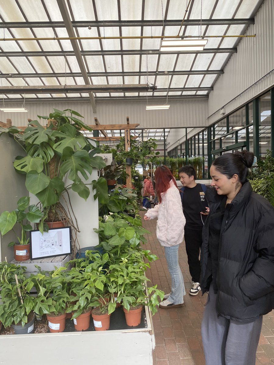 Stunning displays and plenty of grow your own, super range of hardy and half hardy annuals, houseplants, trees, shrubs, herbaceous etc etc on display @johnstownjim huge thanks to Lorna for interpretation of their sales, service and merchandising of plants to students @UCD HORT