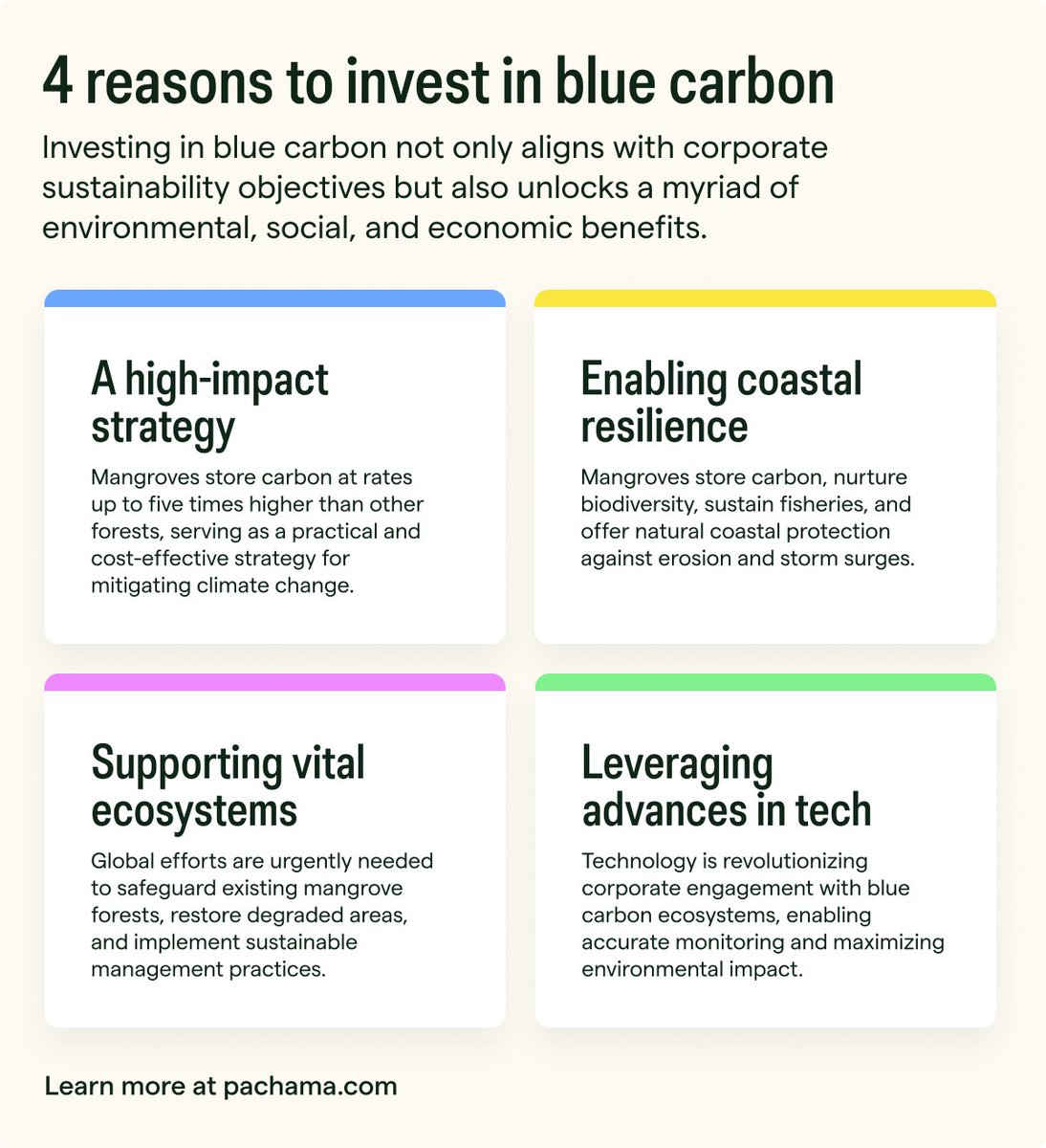 There’s a growing trend of corporate investment in blue carbon projects. Discover why these coastal ecosystems are gaining momentum as a cost-effective, long-term sustainability solution: pachama.com/blog/why-mangr… #Pachama #BlueCarbon