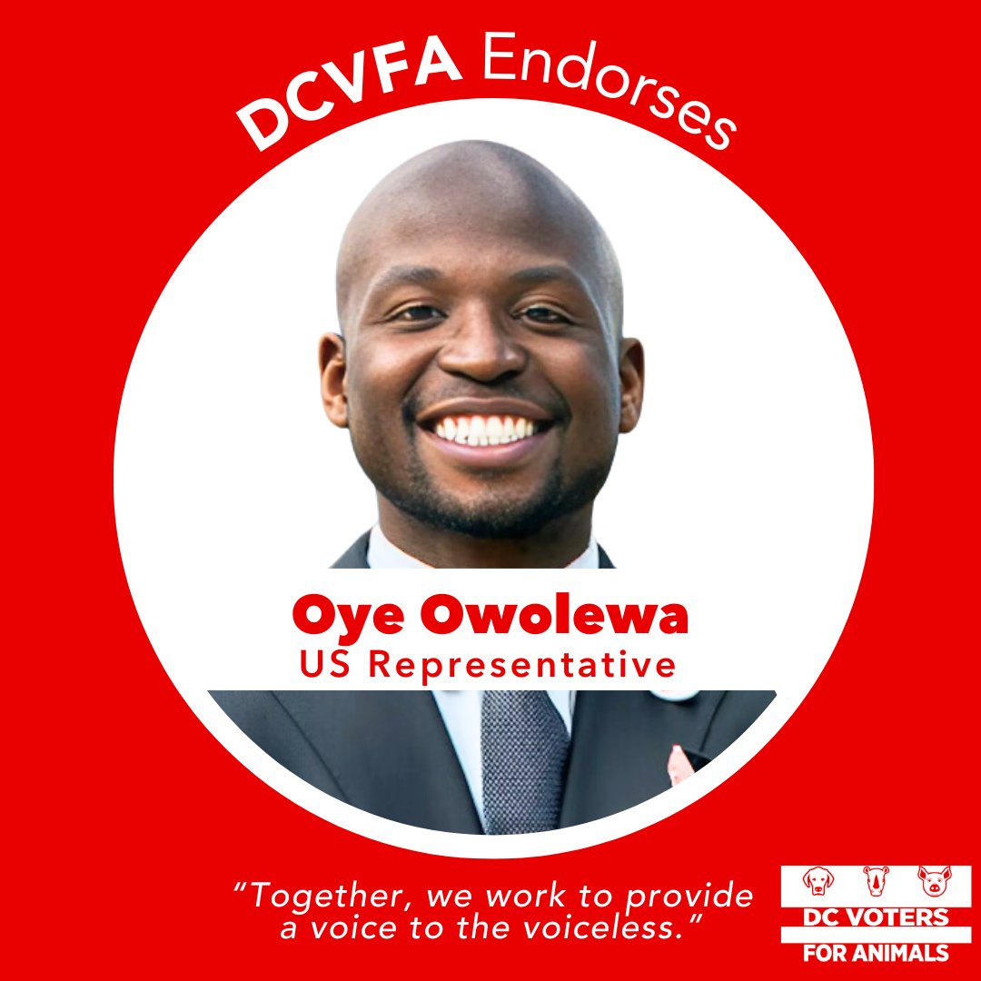 I am truly humbled to be endorsed by DC Voters for Animals. I'm honored to witness DCVFA become one of the most passionate and community driven change agents in our nation's capital. Together, we work to provide a voice to the voiceless.
