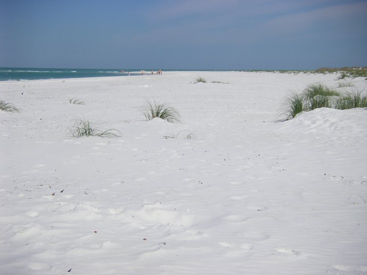 @TripFiction @DoroLef @LindaPeters64 @MadHattersNYC @SafariKZNMark @Winelands I heard @KeralaTourism is nice and hope to visit sometime. My favorite beaches are along the @USGulfCoast. The sand is so soft, white, and clean. #travel