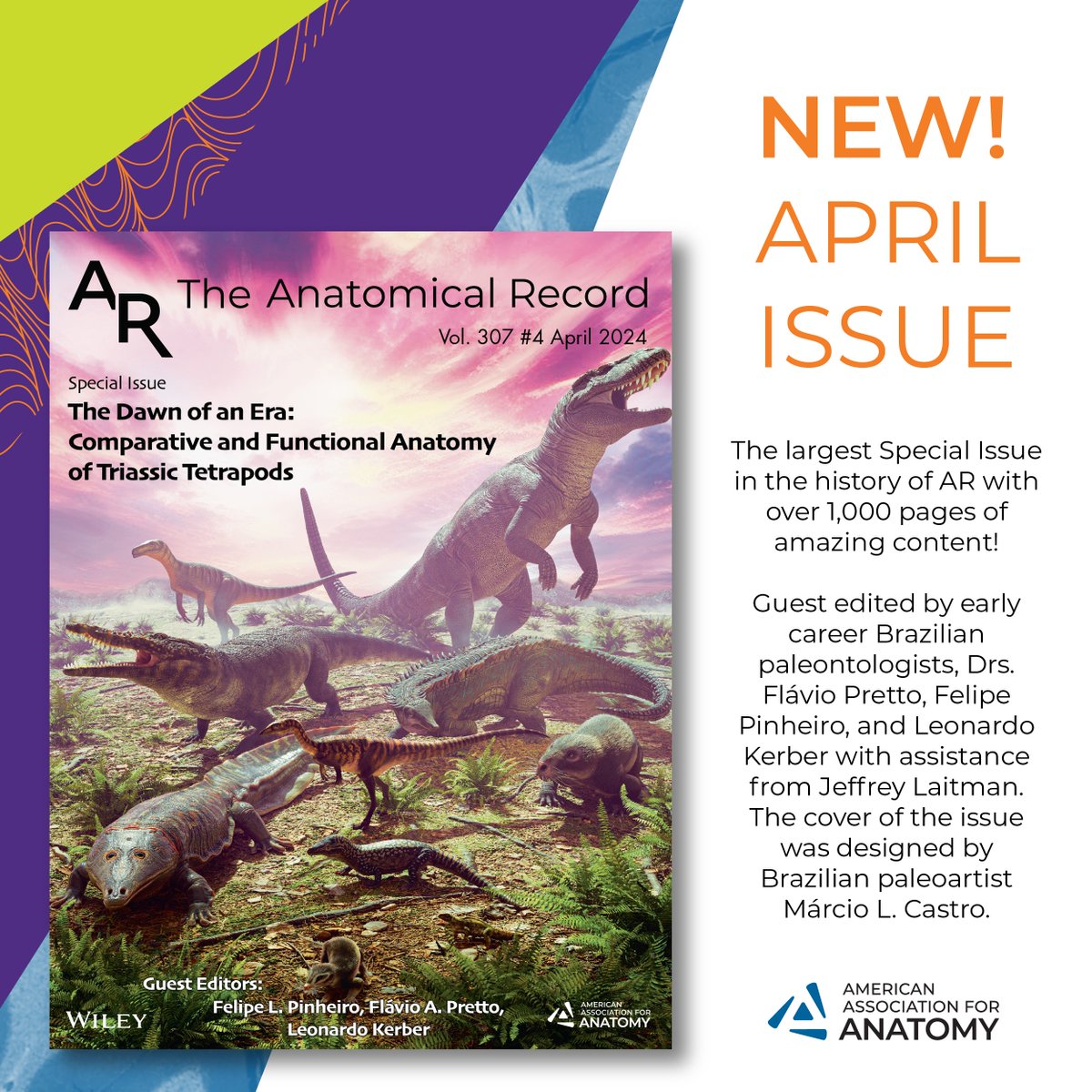 AnatomyOrg's tweet photo. Check out the April issue of @AnatRecord: "The Dawn of an Era: Comparative and Functional Anatomy of Triassic Tetrapods."
https://t.co/ZJ9yBdxr1U

#Anatomy25 #AnatomyConnected25 #AnatomyConnected #anatomy #science #research #education #AmericanAssociationForAnatomy #AAA https://t.co/saORsTRkOY