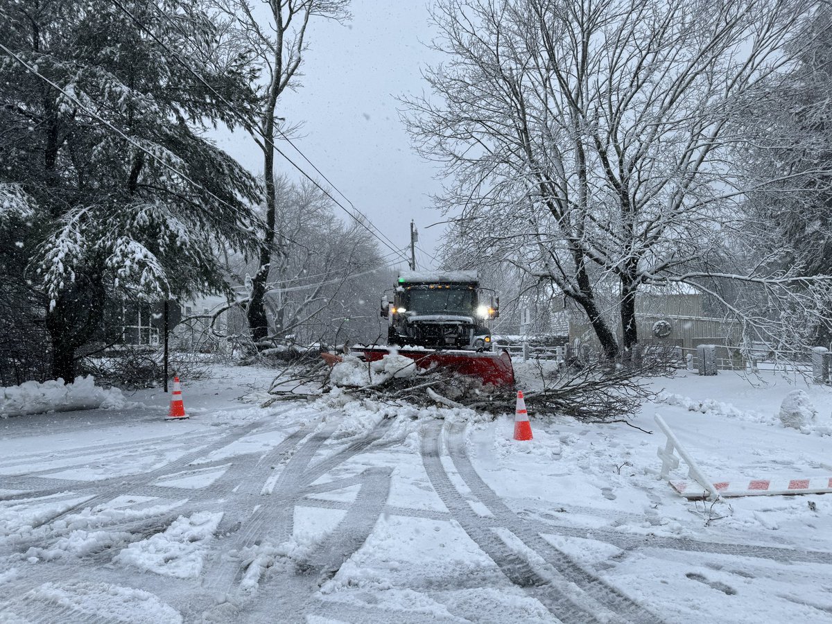 Thank goodness public works paid a little extra for tree rated plows! 🌨️💨 #teamwork