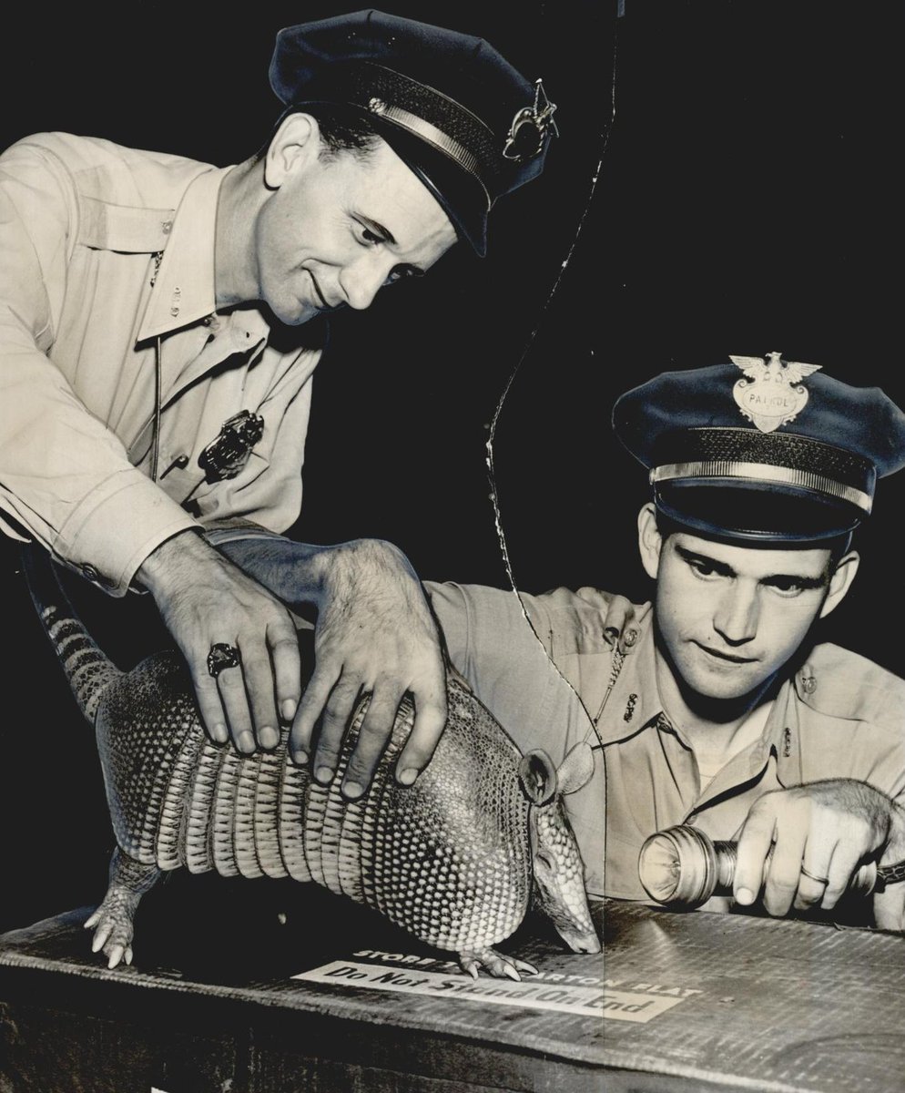 August 1952 'CAUSE FOR EXCITEMENT in the 500 block on SE 47th was this armadillo.' - @okhistory #ThrowbackThursday