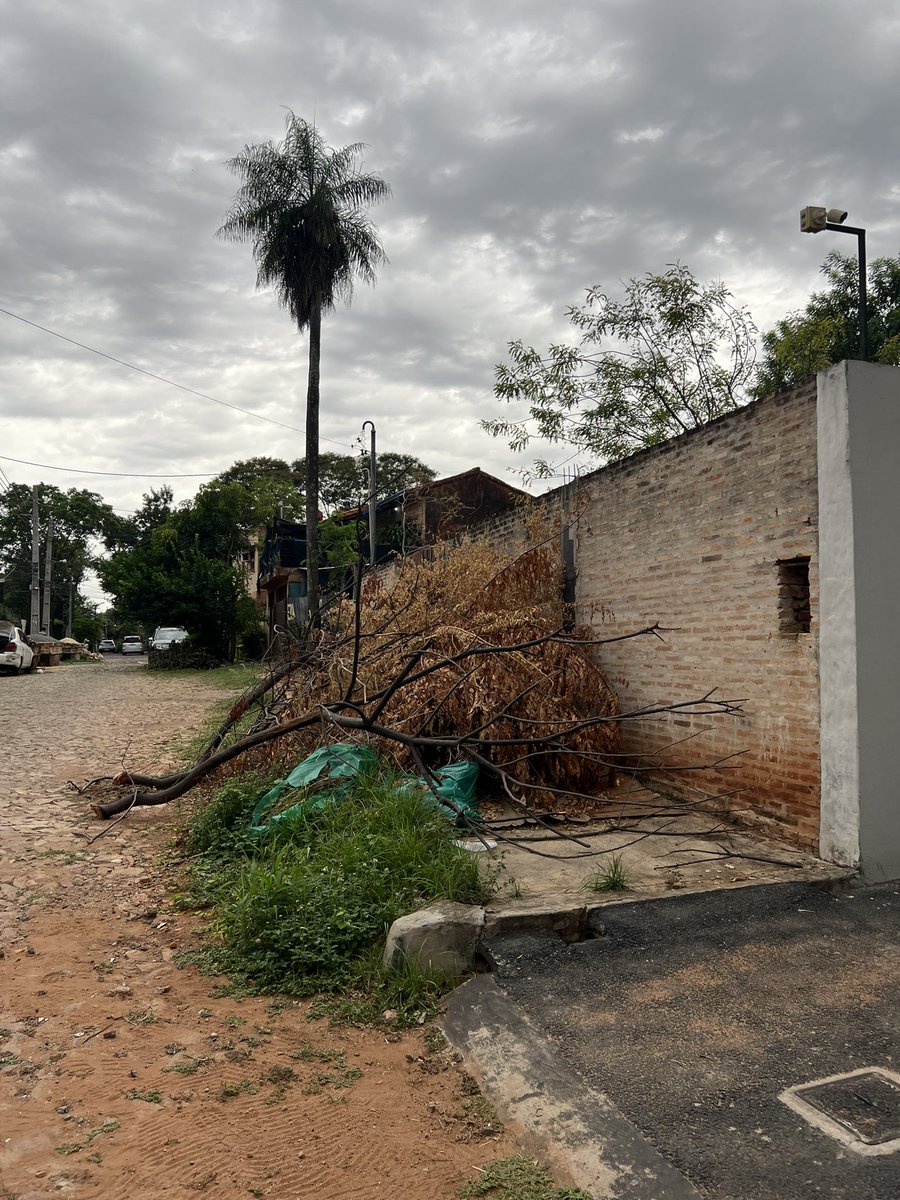 Majito1033's tweet photo. Kuarahy entre Comendador Bo y Durazno ; a 2 cuadras de @trecepy  
Hace semanas dejaron árbol cortado y ahora meten chatarra y basura 
@LambareDe  @infolambare  @lambareciudad  @BomberosLambare https://t.co/rOuYUR1xL5