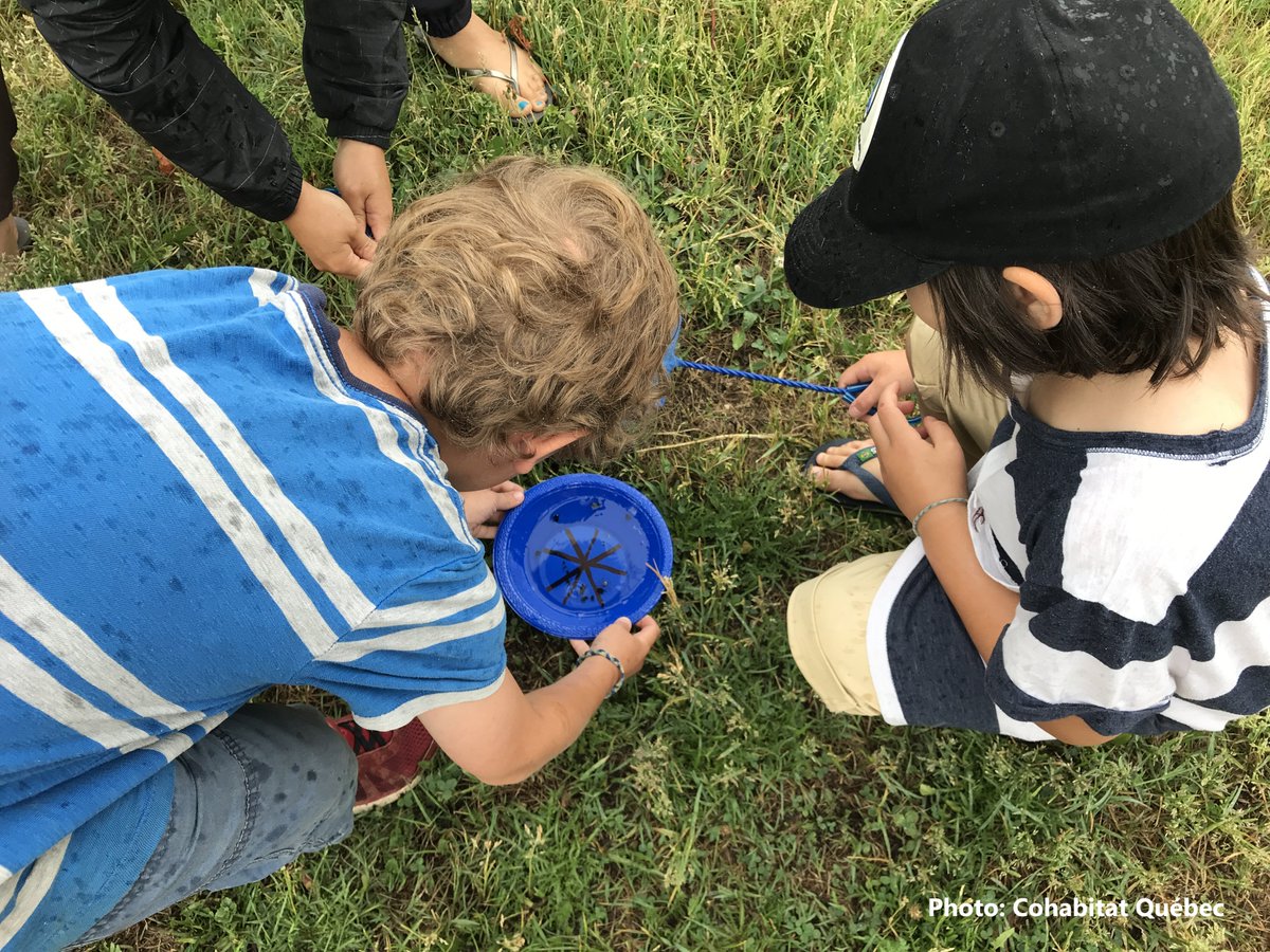 📢Appel à tous : Abeilles citoyennes est en recrutement pour la saison 2024. Vous souhaitez contribuer à un projet visant la protection des #pollinisateurs? Inscrivez-vous : abeillescitoyennes.ca/inscription/ 🐝🪰🌻