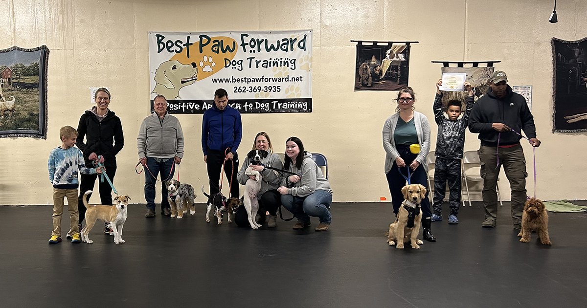 Congrats #PuppyKindergarten grads! You introduced your puppies to some basic skills, worked on attention and engagement, and learned how to safely introduce them to new experiences, items, people and dogs. 
#GradPhotos #ForceFreeDogTraining #Dogs #RewardBasedDogTraining #Coaching