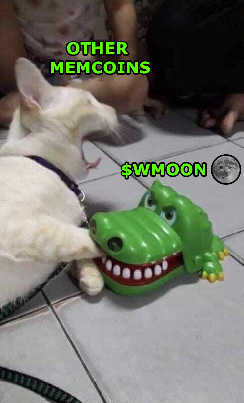sayraf55's tweet photo. @Vanga_Style @cryptoprolegend @ApesinSuitsCoin $WMOON LETS GOOO https://t.co/ARqsMaPDju