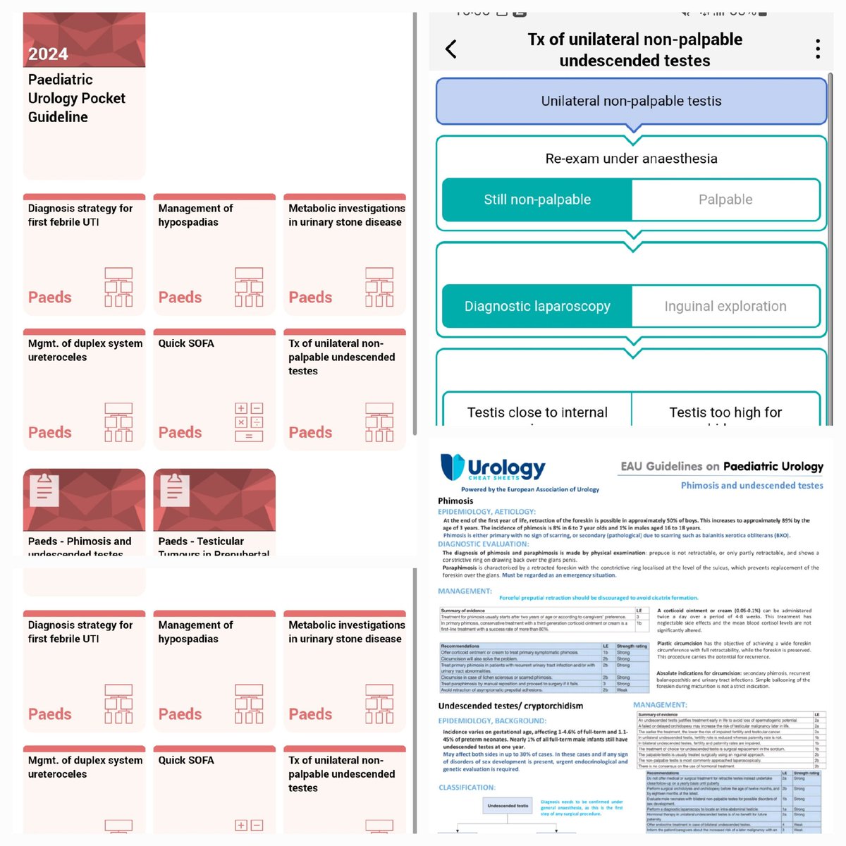 A new era for our <a href="/peduro/">pedro alves</a> #eau guidelines has just begun. A fantastic new app with interactive tools to get your diagnostic answers and a lot more. A download must. <a href="/Uroweb/">European Association of Urology (EAU)</a> <a href="/EauEwpu/">EWPU</a> <a href="/UrowebESU/">European School of Urology (EAU ESU)</a> <a href="/EAU_YAUPedsUrol/">EAU_YAUPaedsUrol</a> <a href="/ESPUorg/">ESPU</a> <a href="/EauPatient/">EAU Patient Information</a>