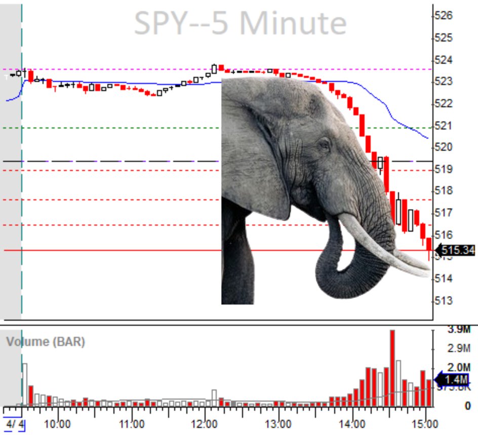 Today was a classic #StockMarket selloff referred to as an 'Elephant Day' And if you can't recognize it ahead of time, I feel sorry for you 🐘📉🐘📉🐘📉🐘📉 #BBTfamily