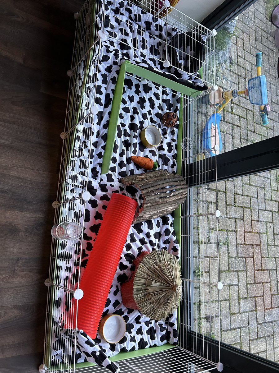 mrkingstsci's tweet photo. #GWIDT! Ready for some new arrivals at Casa King!! https://t.co/DApHeuKbiT