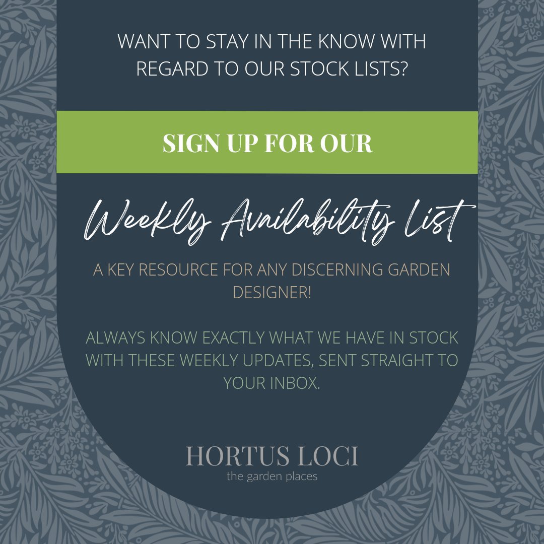 Discover the 'best kept secret' favoured by garden designers! Ensure you always have access to the plants you need, precisely when you need them.

Signing up is simple - just click on the link below:
bit.ly/HortusLociList…

#HortusLoci #PlantAvailability #GardenDesigner